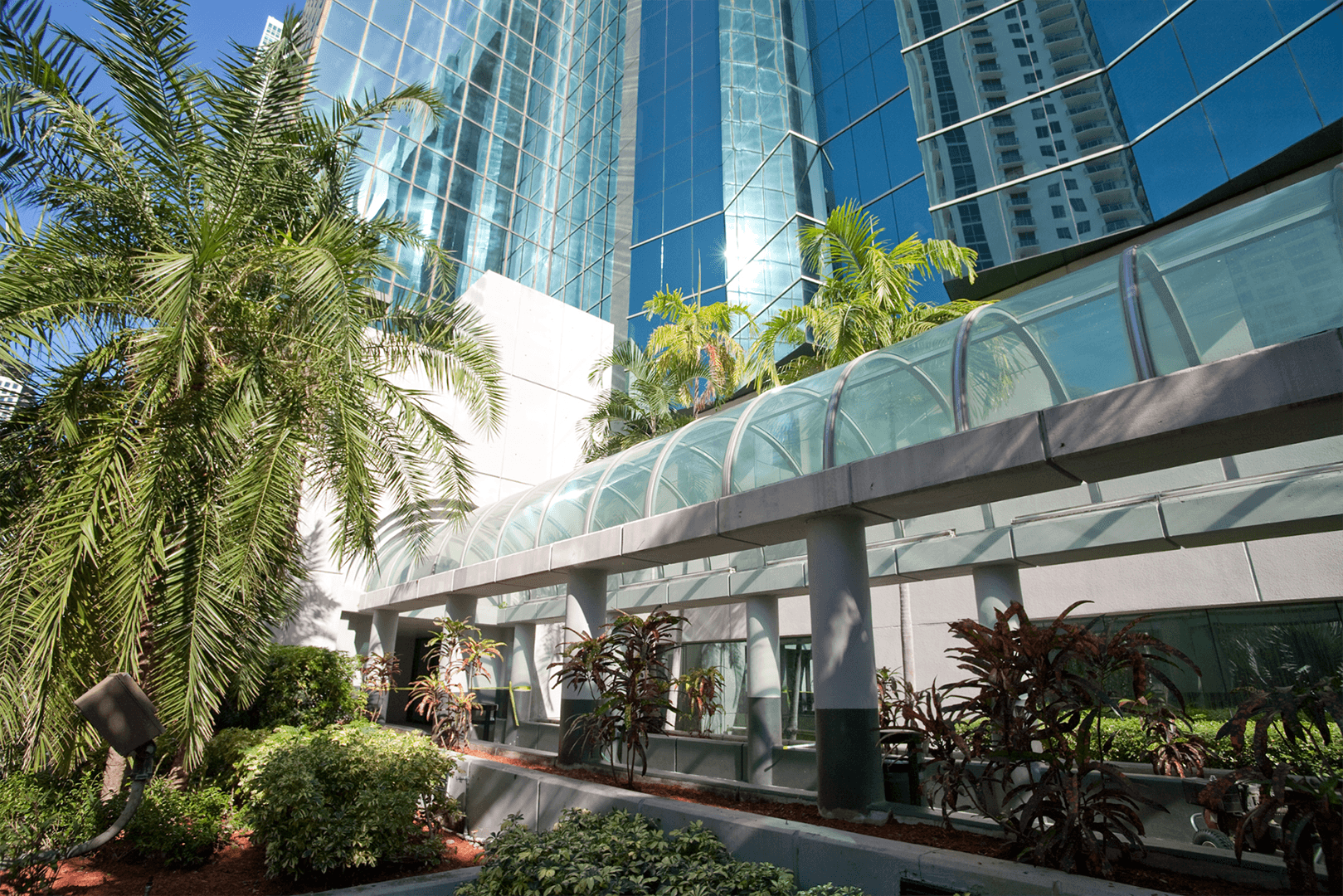 View of the North South Walkway surrounded by an arched glass rooftop
